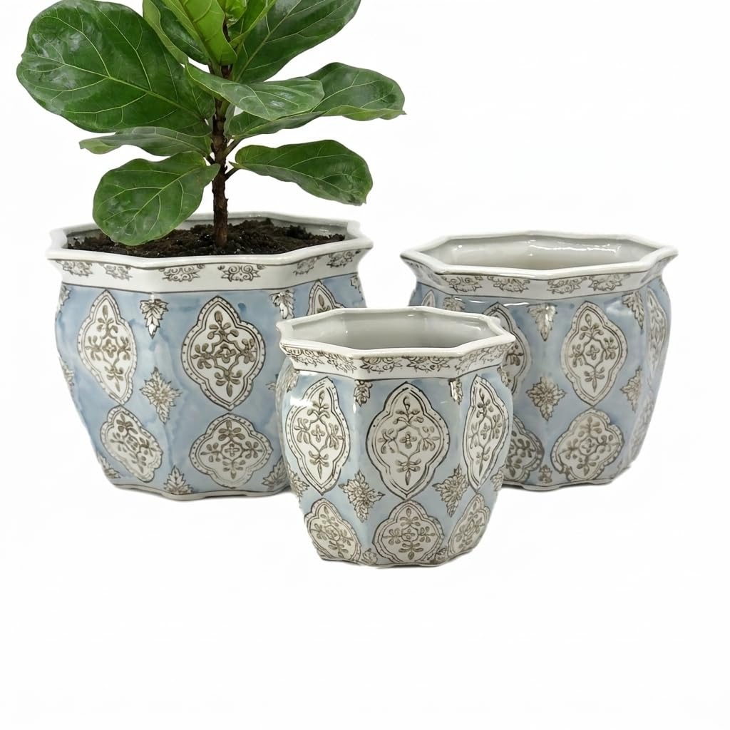 Galt International medium planter with succulent shows styling and healthy plant support