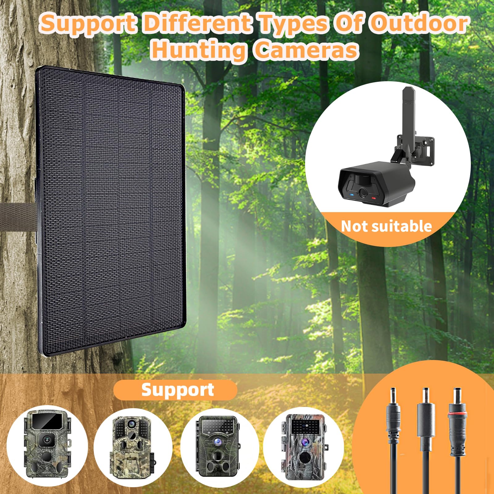 Ganjiuxingl close-up solar cells highlighting efficient energy capture