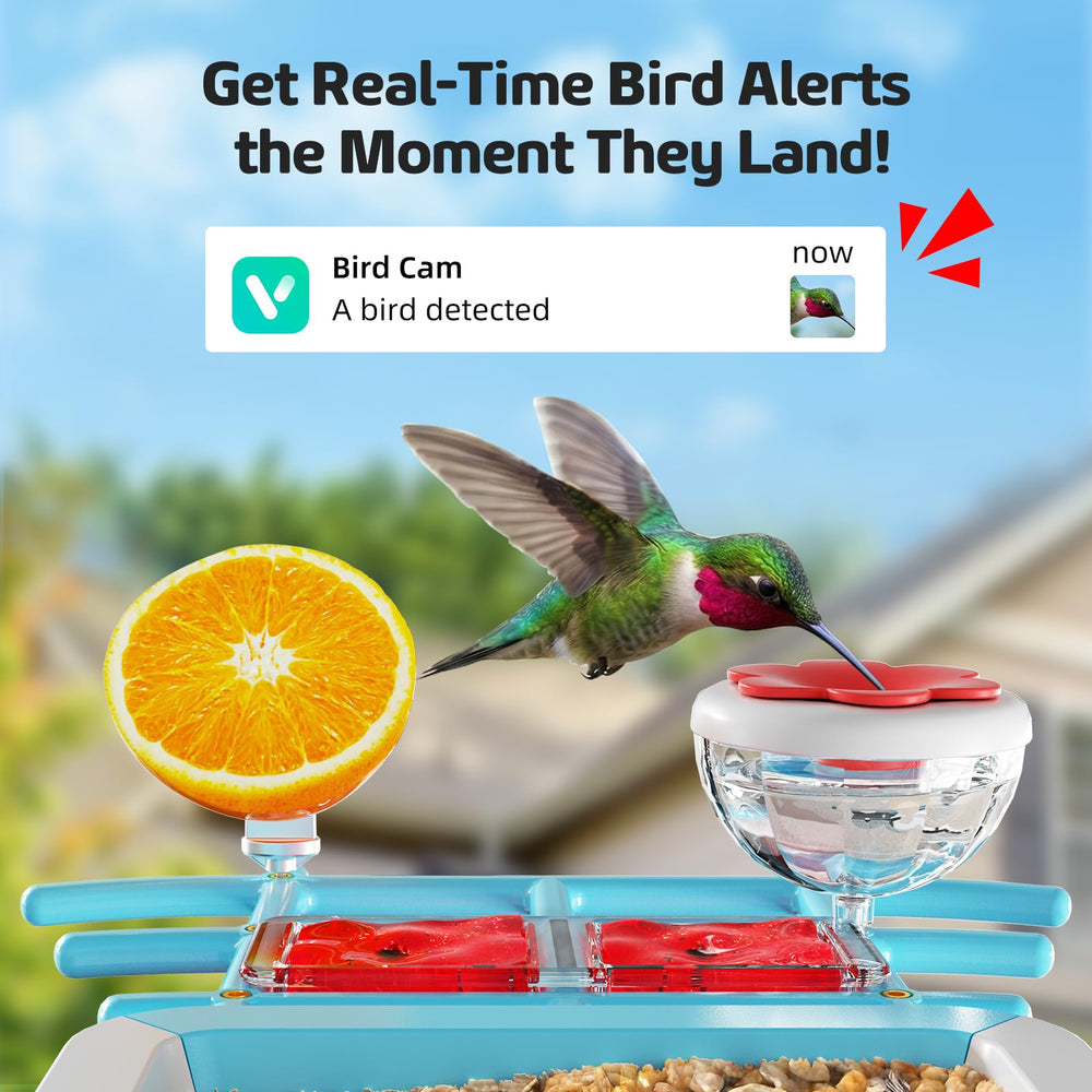 GAOYITK camera lens closeup highlighting 2K clarity for detailed bird photos
