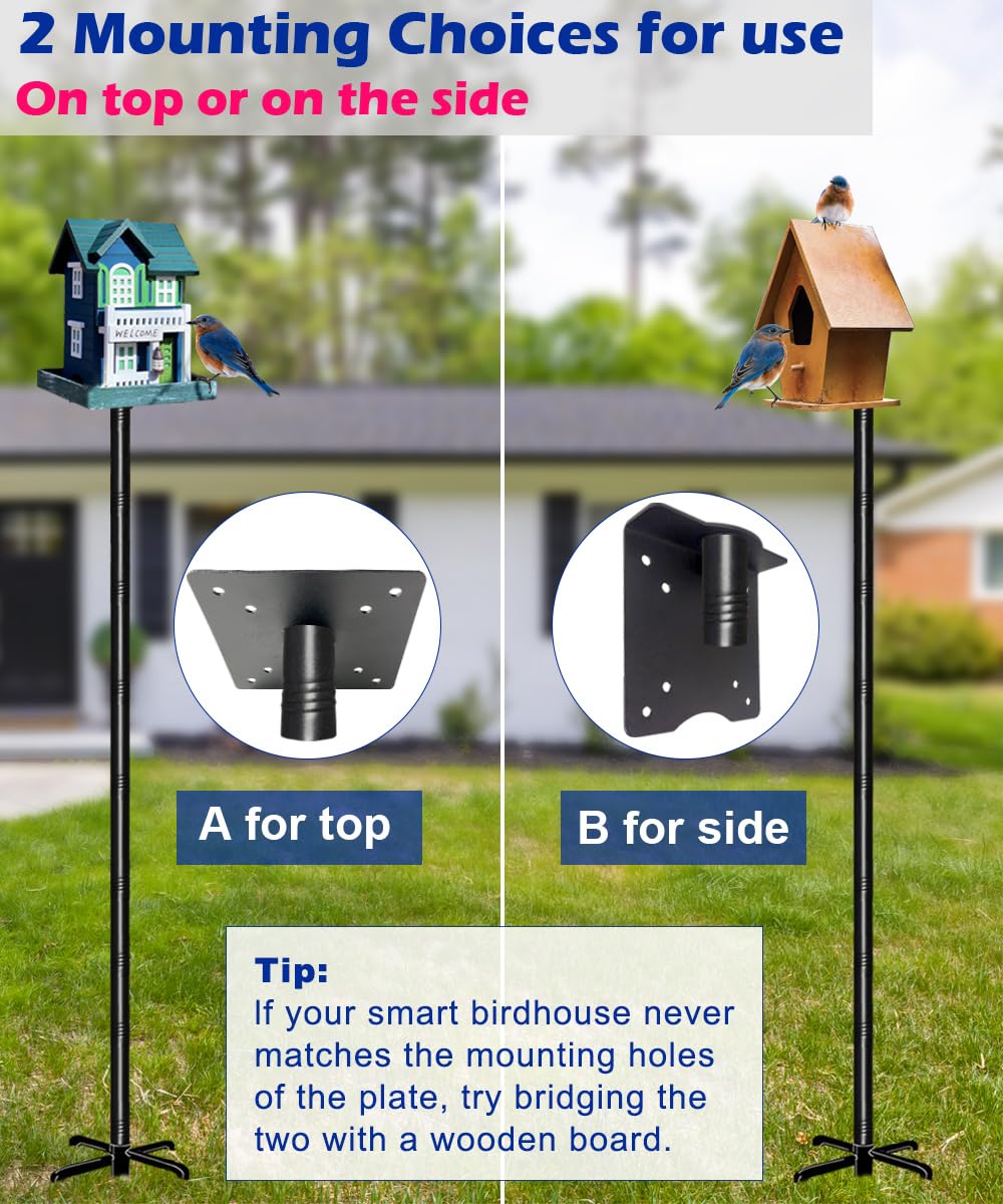 Garbuildman feeder attached in use attracting backyard birds for observation