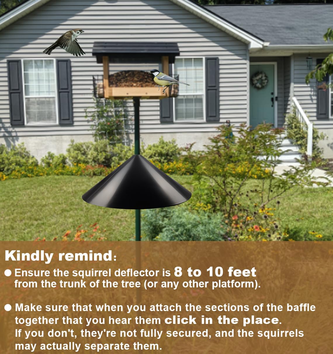 Garbuildman lifestyle backyard feeder scene keeps bird food safe from squirrels