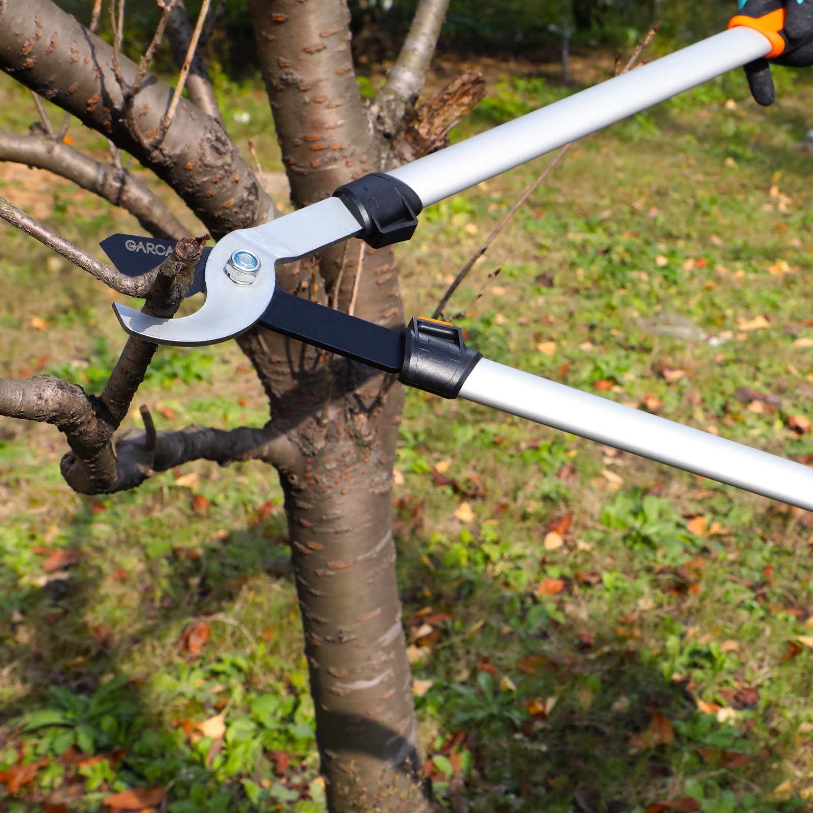 GARCARE pruning set beside ruler showing scale for informed tool selection