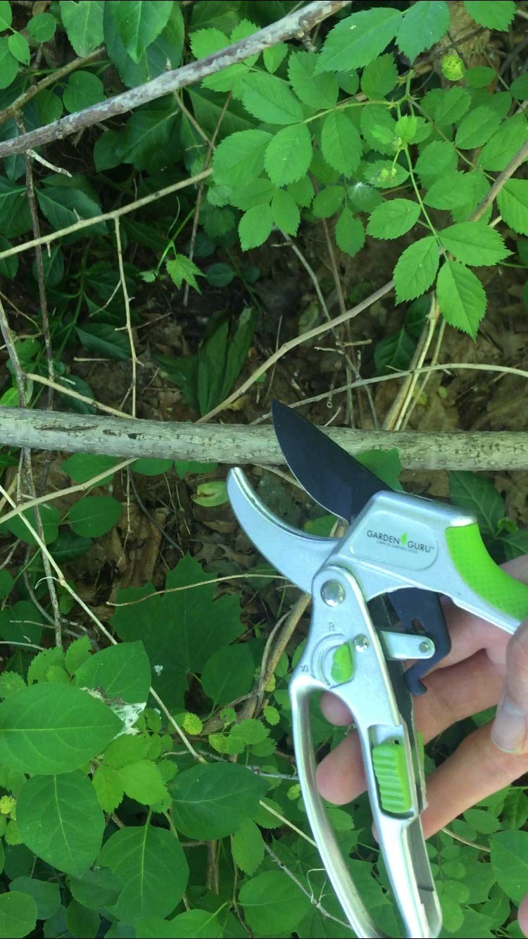 GARDEN GURU ratchet mechanism detail for increased cutting leverage