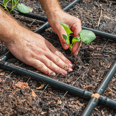 Garden In Minutes installed in raised bed demonstrating uniform watering across plants