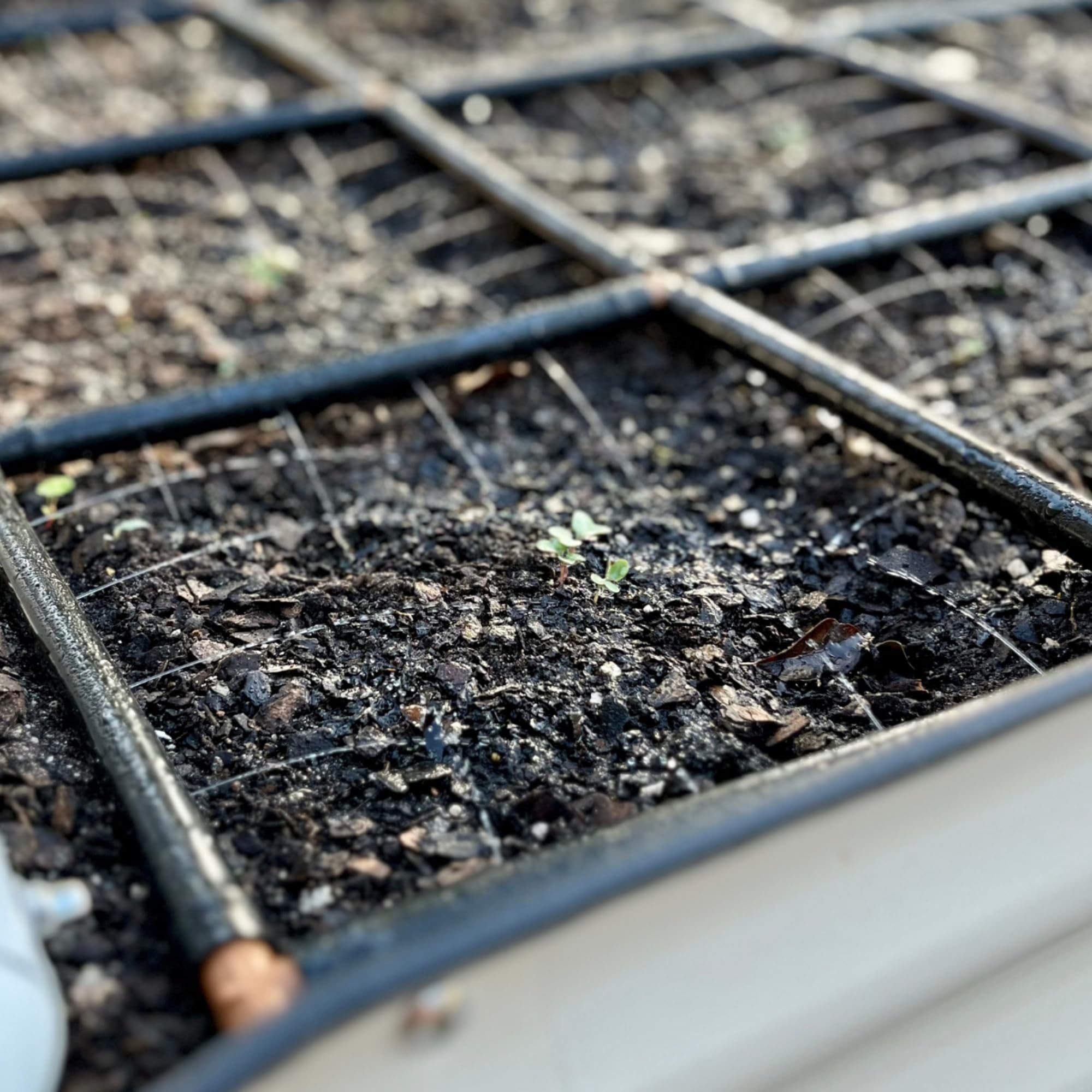 Garden In Minutes grid beside ruler for scale ensuring proper 2x8 fit