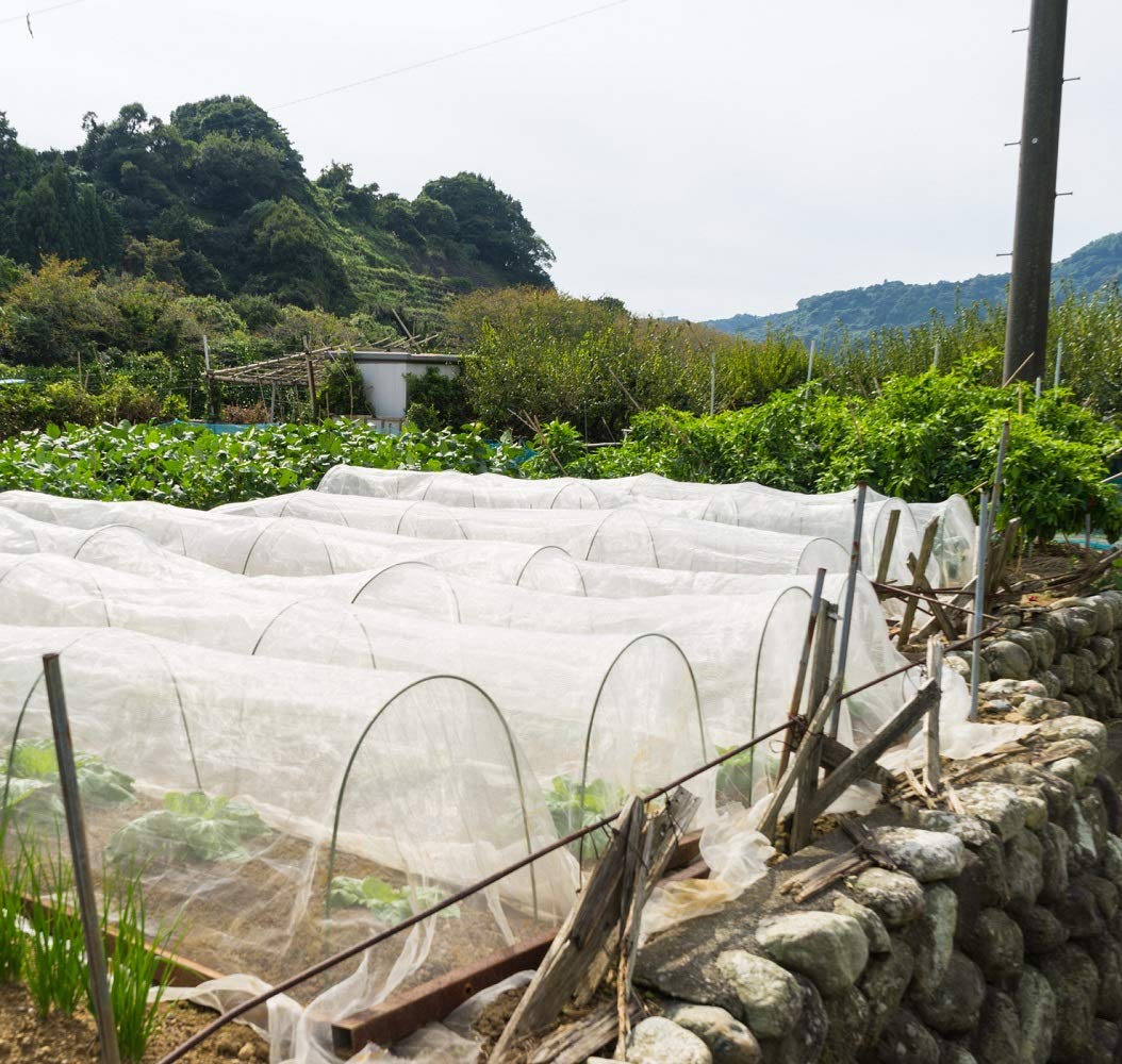 Garden Tailor covering fruit tree showing insect exclusion without shading benefit