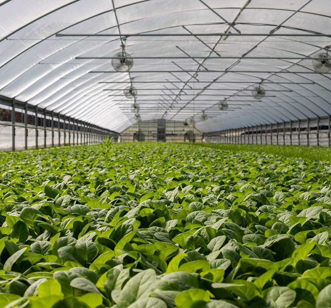 Garden Tailor held in hand showing scale and easy handling benefit