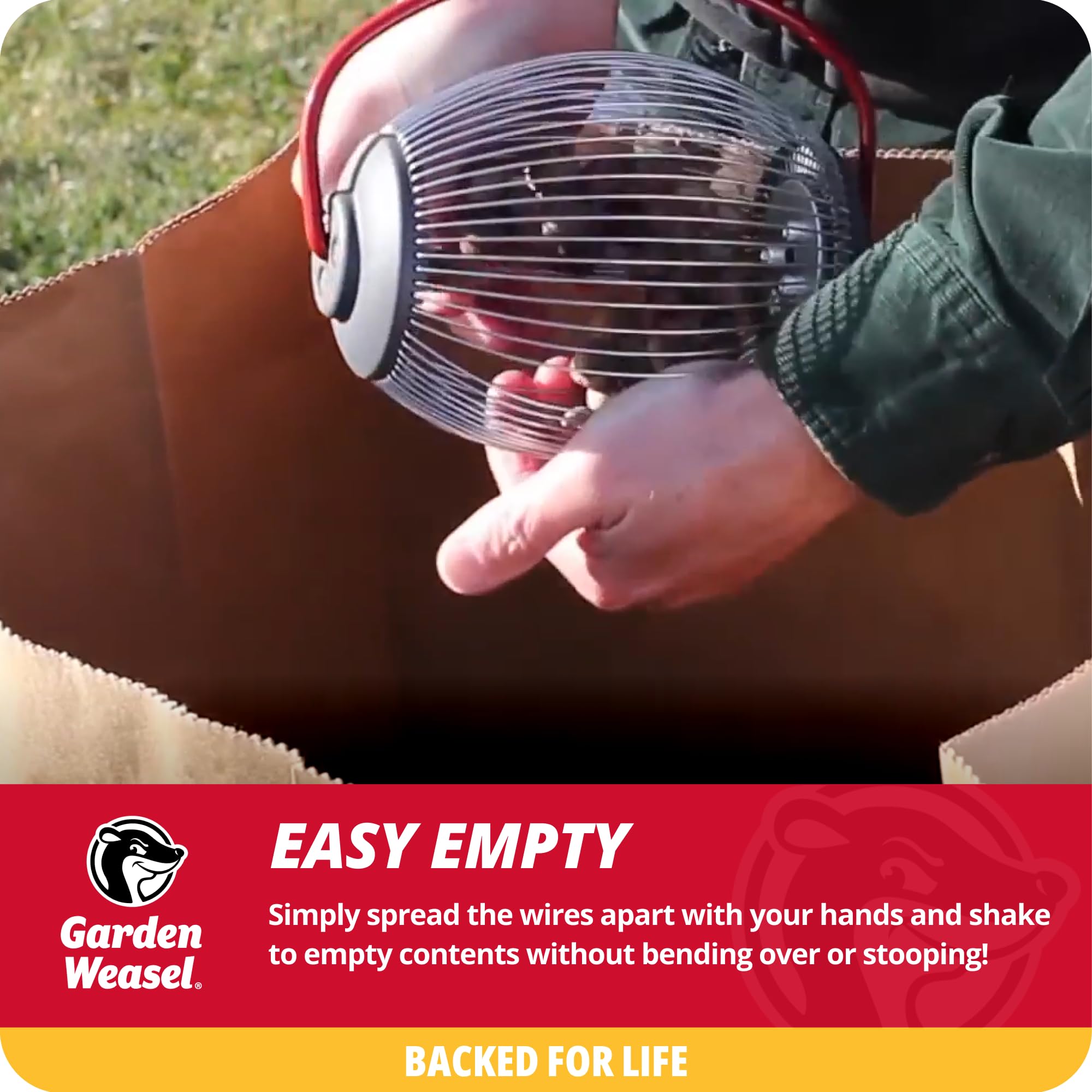 GARDEN WEASEL used on patio capturing nuts for tidy outdoor space
