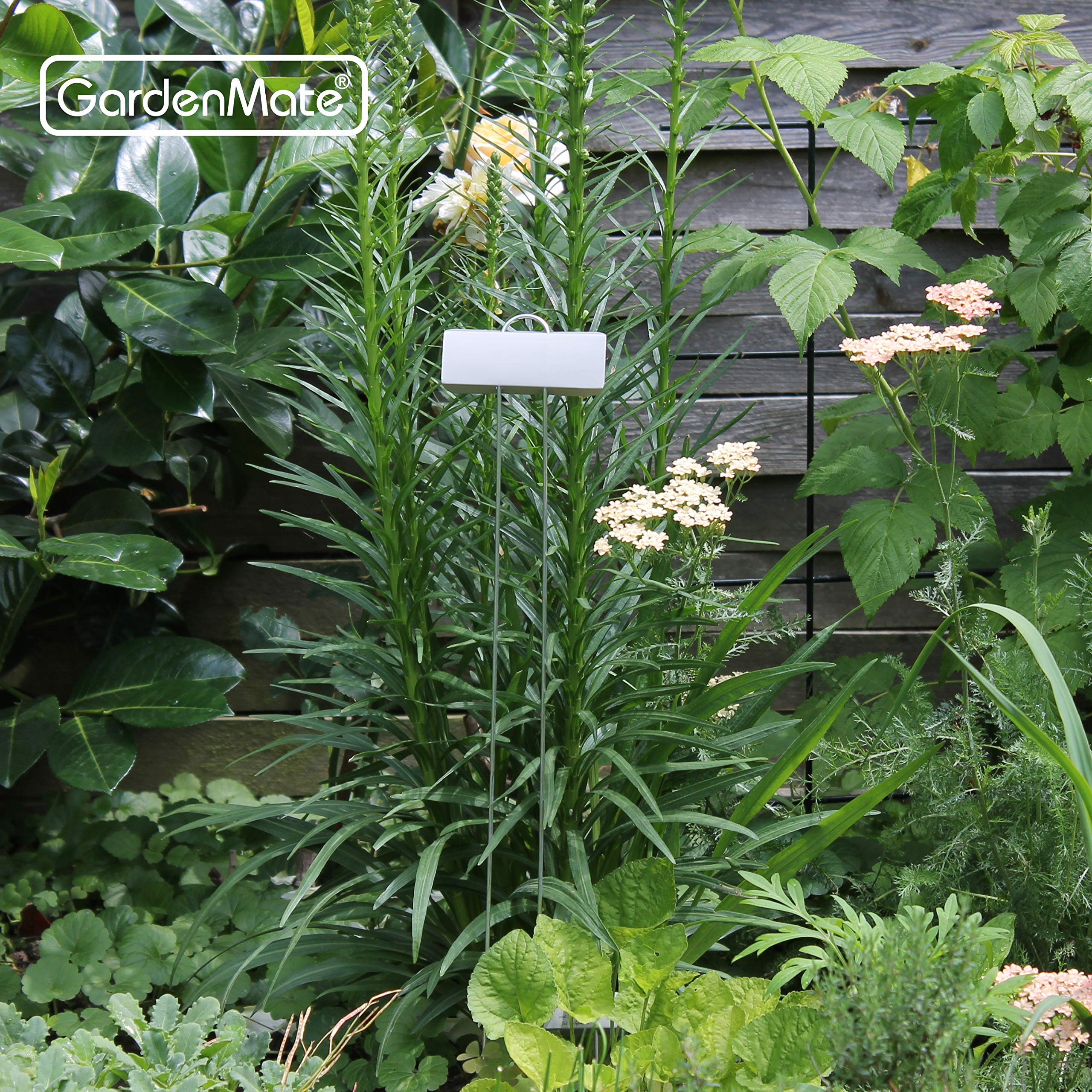 GardenMate stake being pushed into pot soil showing easy insertion and repositioning
