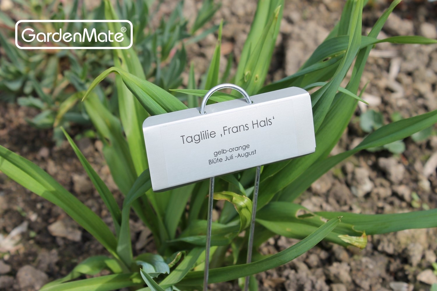 GardenMate row of labels in vegetable bed showing organized, lasting plant marking