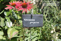 GardenMate close-up of natural slate texture and chipped edge demonstrating rustic appeal