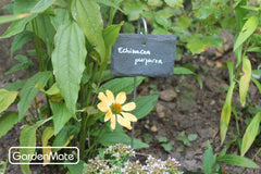 GardenMate hanging label in potted herb showing easy visibility and tidy organization