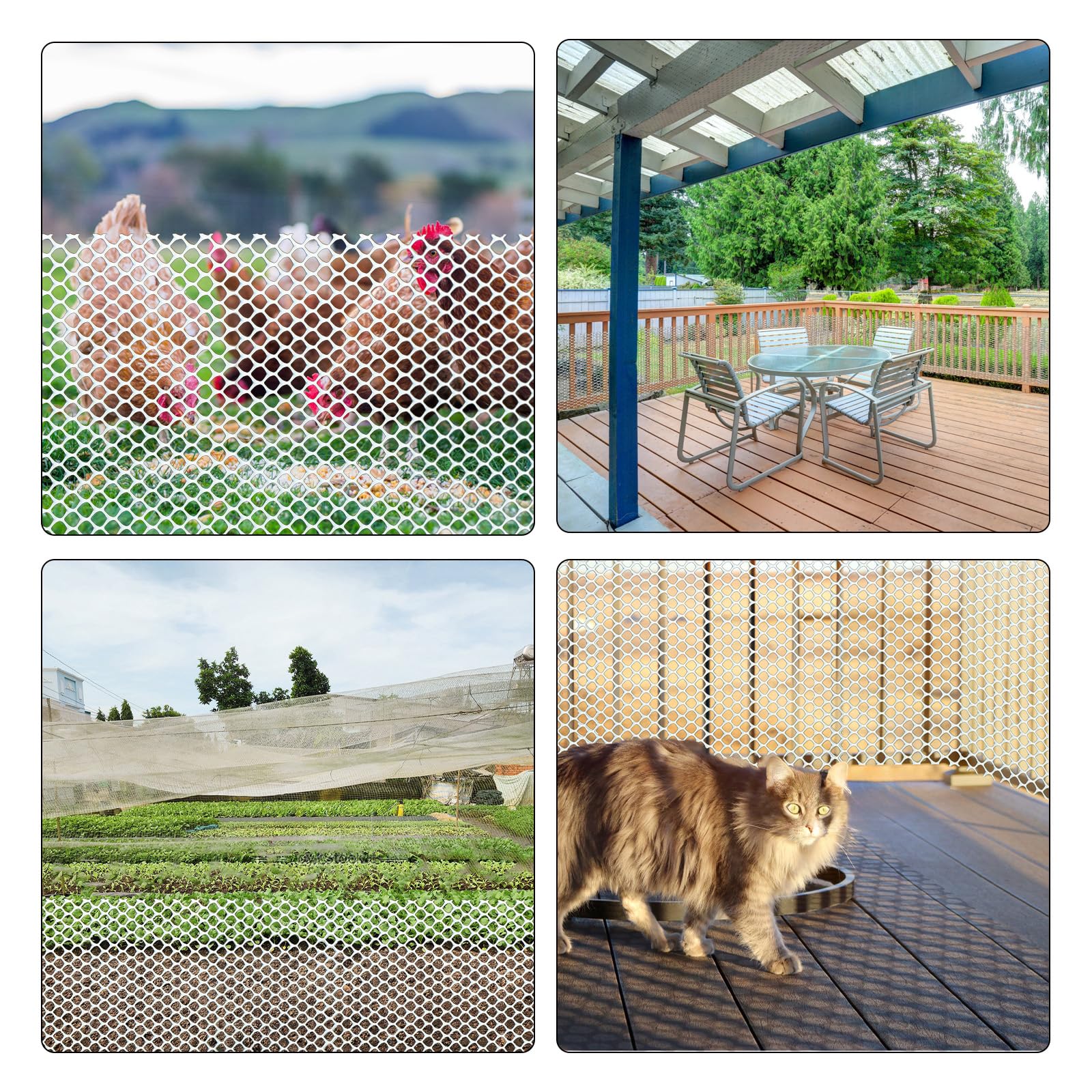 GardenNow protecting garden beds showing plant protection and neat appearance