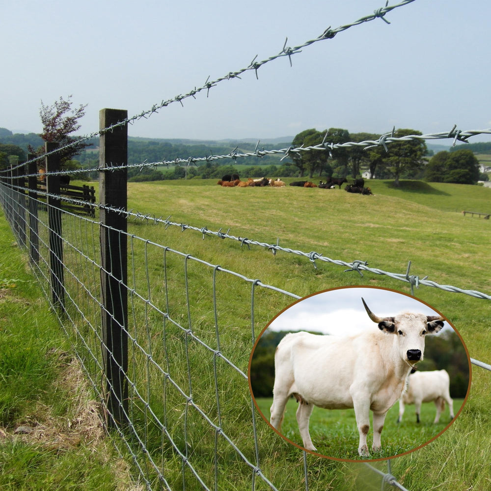 Gardenova fence unrolled beside person showing 6ft height and scale benefit