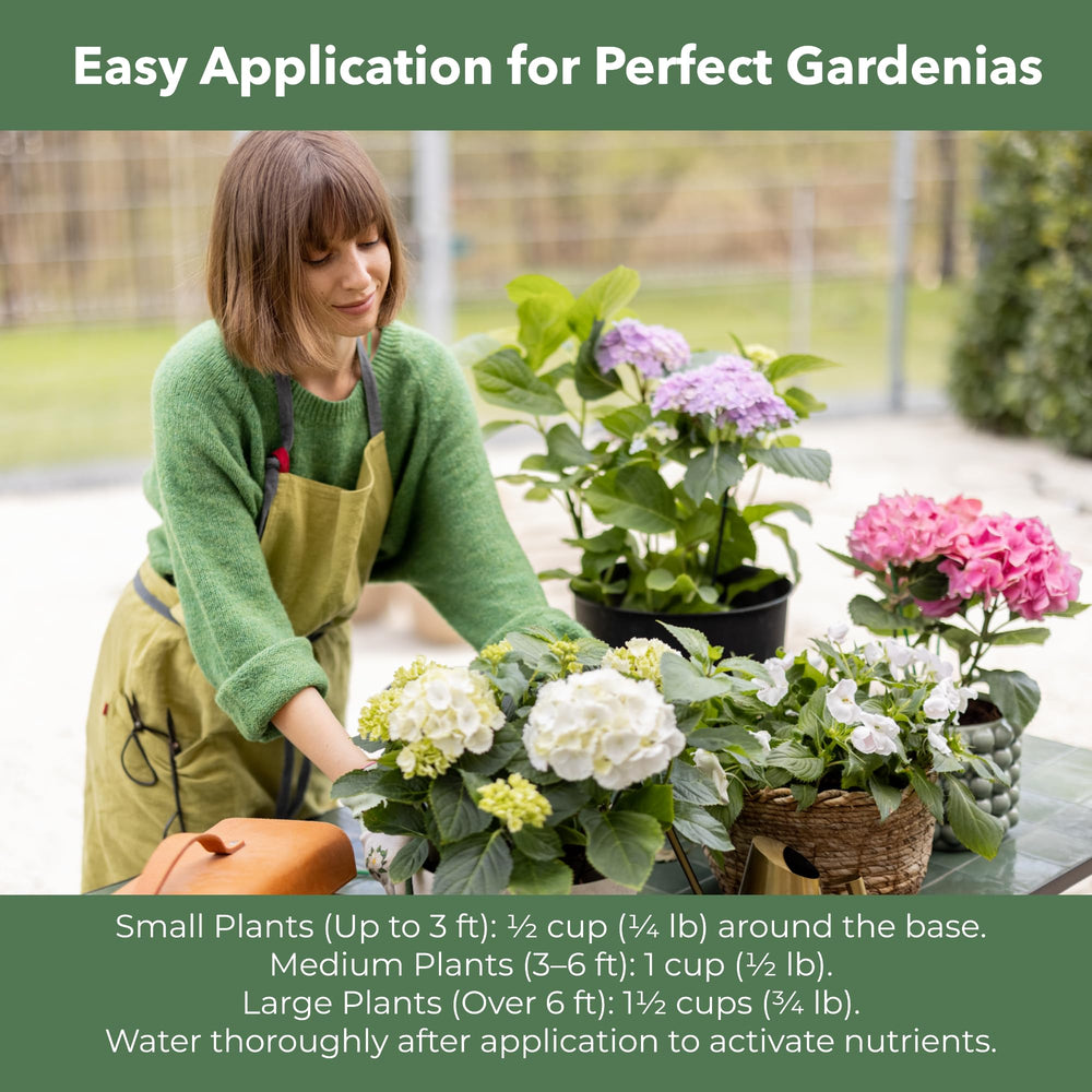 GARDENWISE envase 4 qt junto a mano para referencia de tamaño