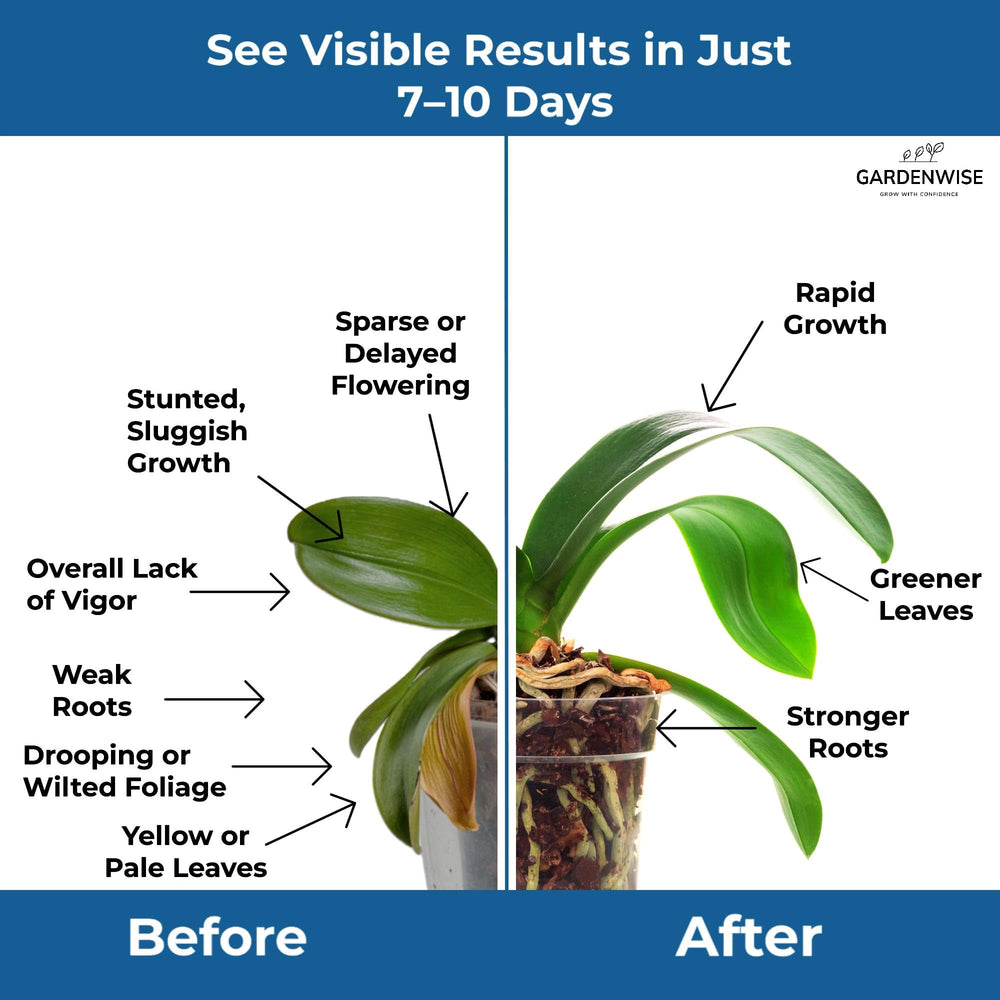 GARDENWISE dissolved solution in watering can demonstrating fast nutrient delivery