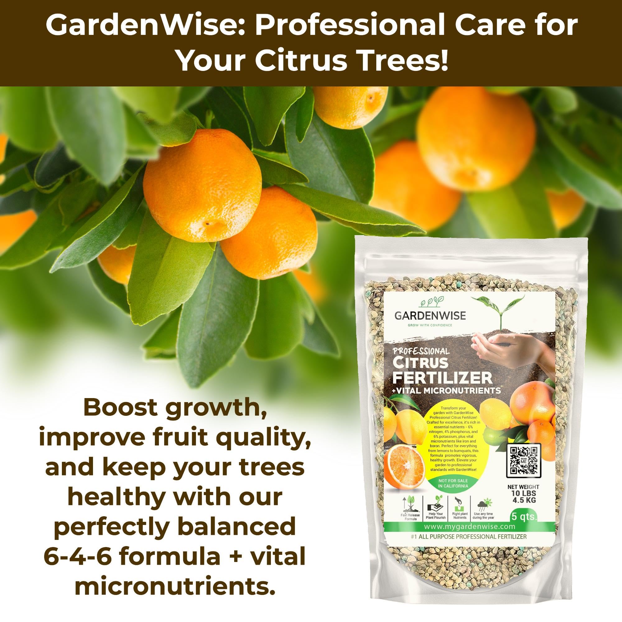 GARDENWISE close-up of coated granules illustrating slow-release nutrient delivery