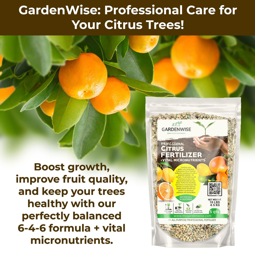 GARDENWISE close-up of coated granules illustrating slow-release nutrient delivery