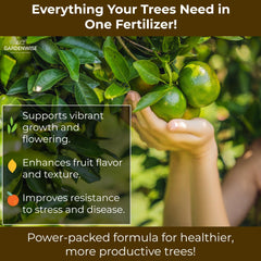 GARDENWISE used on a potted lemon tree for healthier foliage and fruit