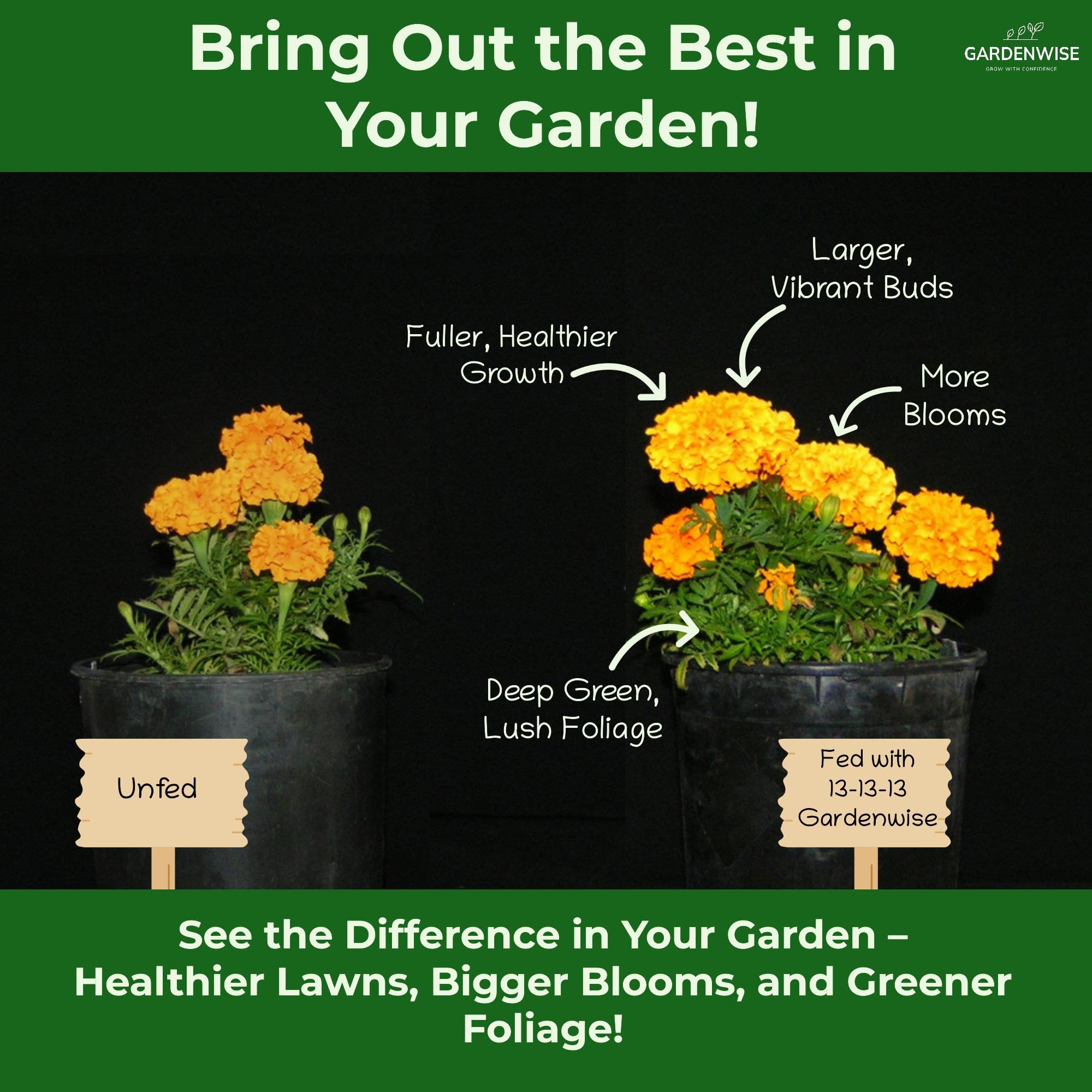 GARDENWISE used on potted plants showing controlled feeding and healthier foliage