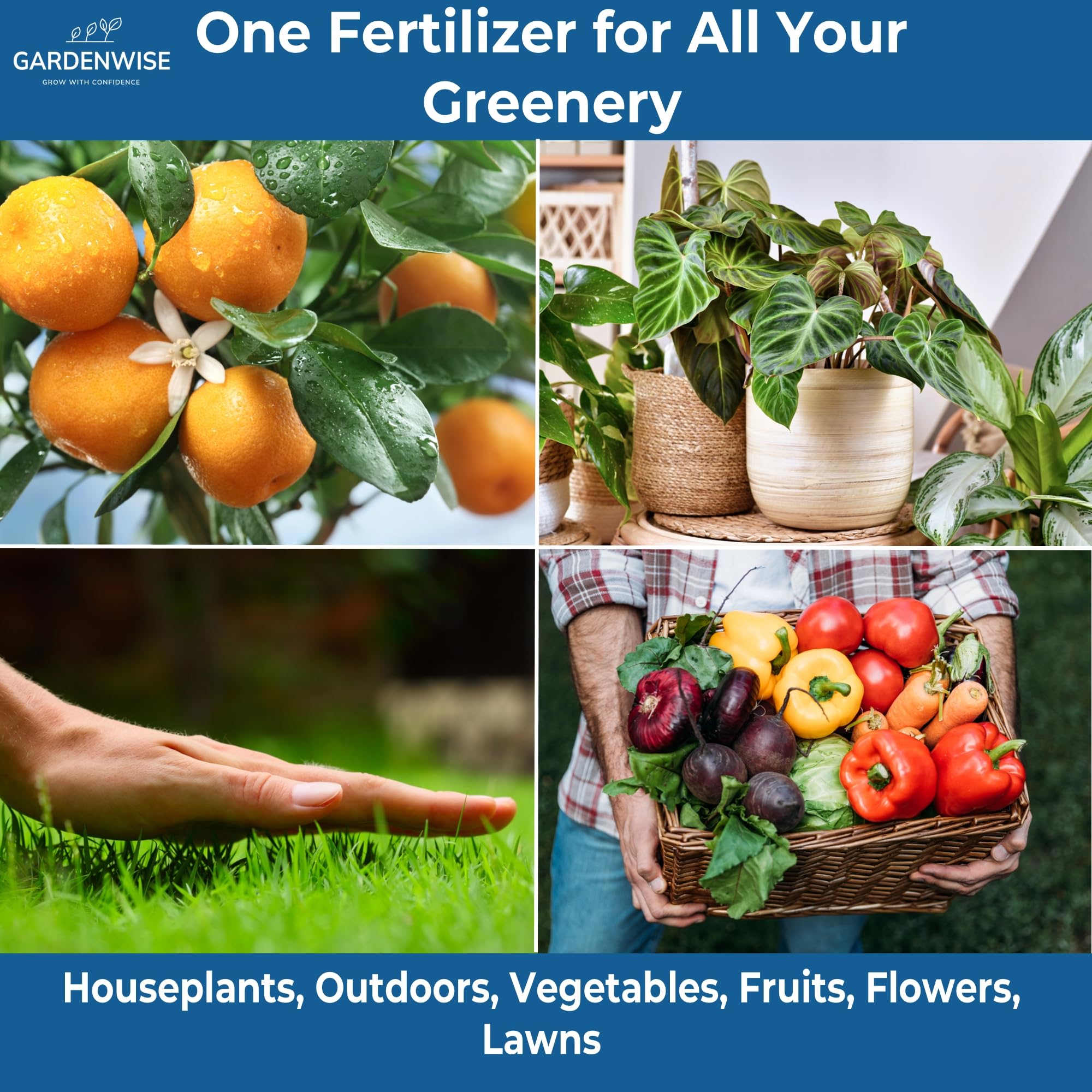 GARDENWISE applied to vegetable beds increasing fruit and vegetable vigor