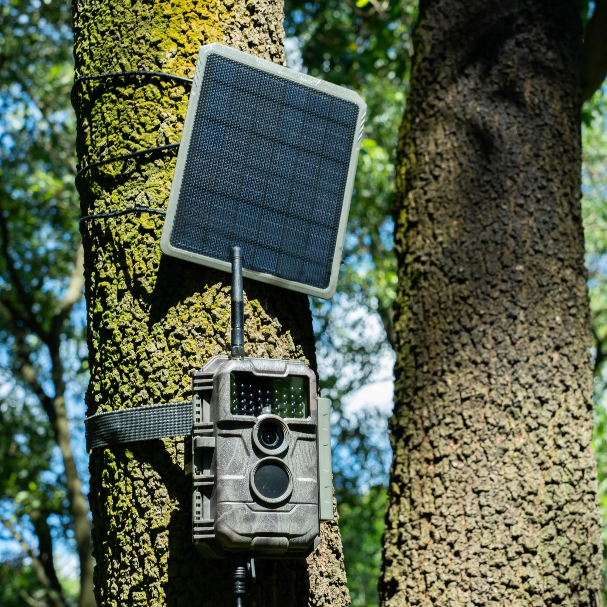 GardePro SP300 mounted on a tree above a trail camera demonstrating easy outdoor installation