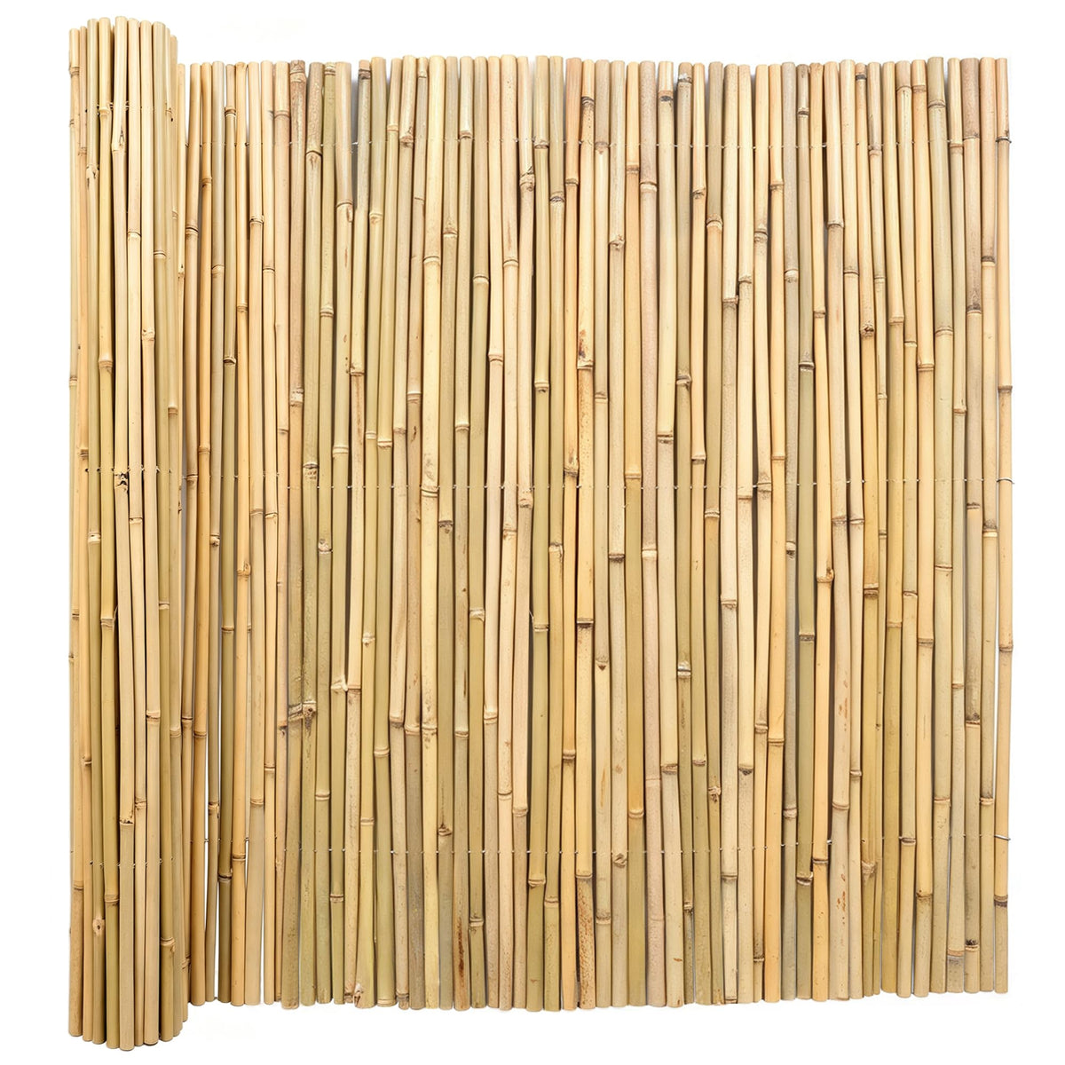 Gardgue front panel showing full 4x6 ft bamboo privacy screen and natural finish