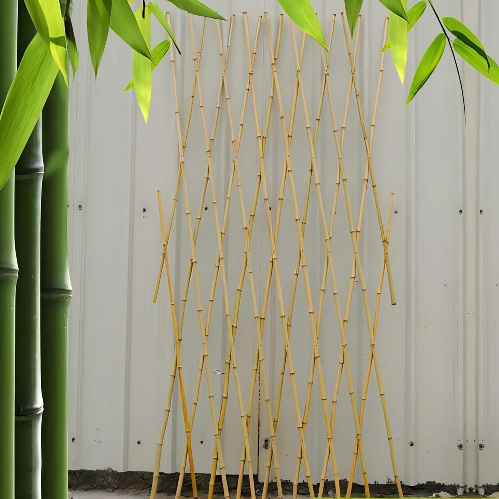 Gardgue compact folded trellis illustrating easy storage and portability