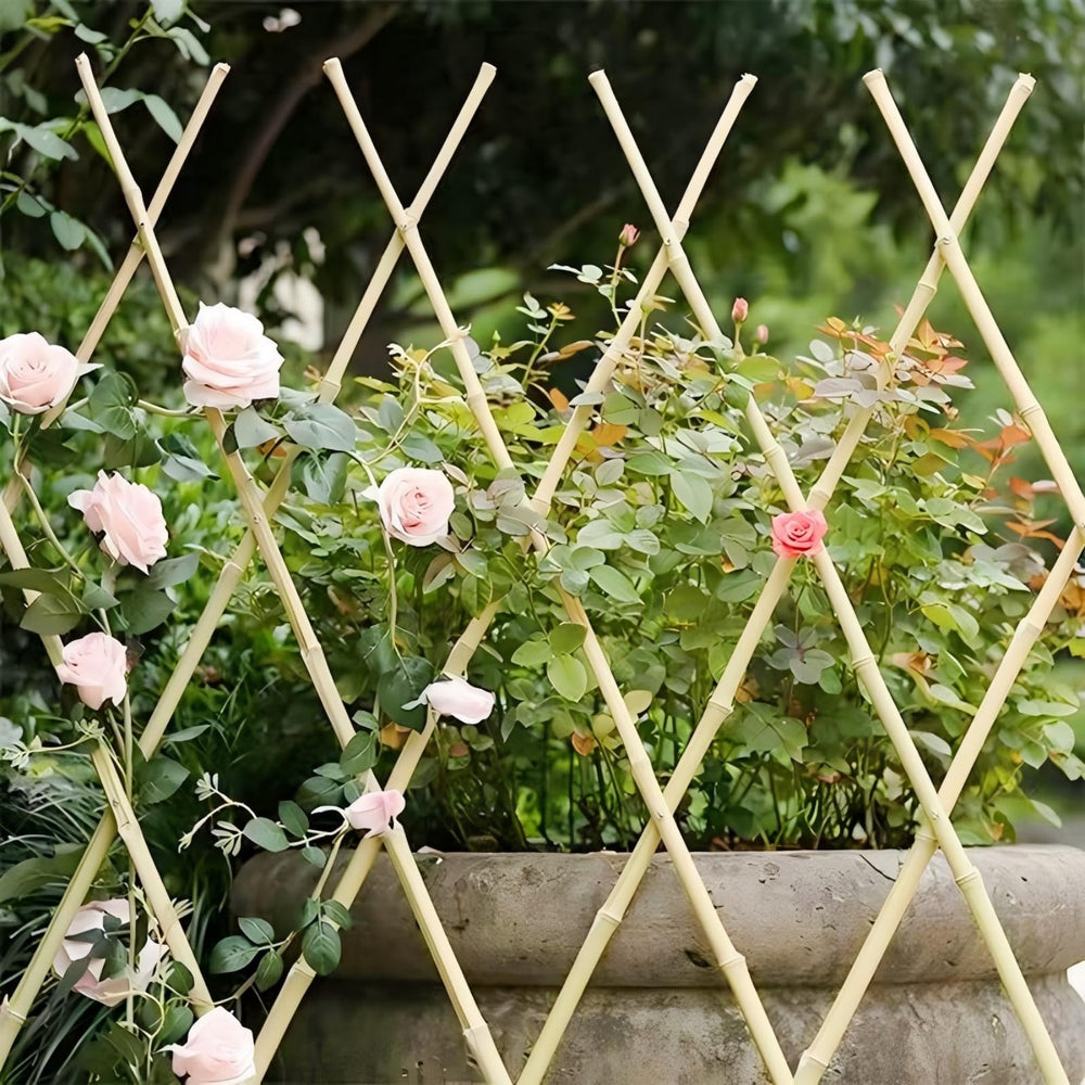 Gardgue lattice on balcony with pots creating instant living wall