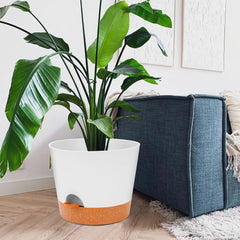 GARDIFE in-use on windowsill with herbs demonstrating convenient indoor gardening