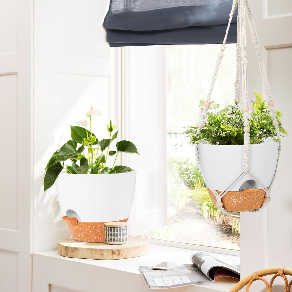 GARDIFE pair of hanging planters in hallway offering minimalist decor appeal