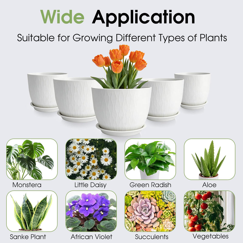 GARDIFE planted set with herbs and succulents showing versatile use