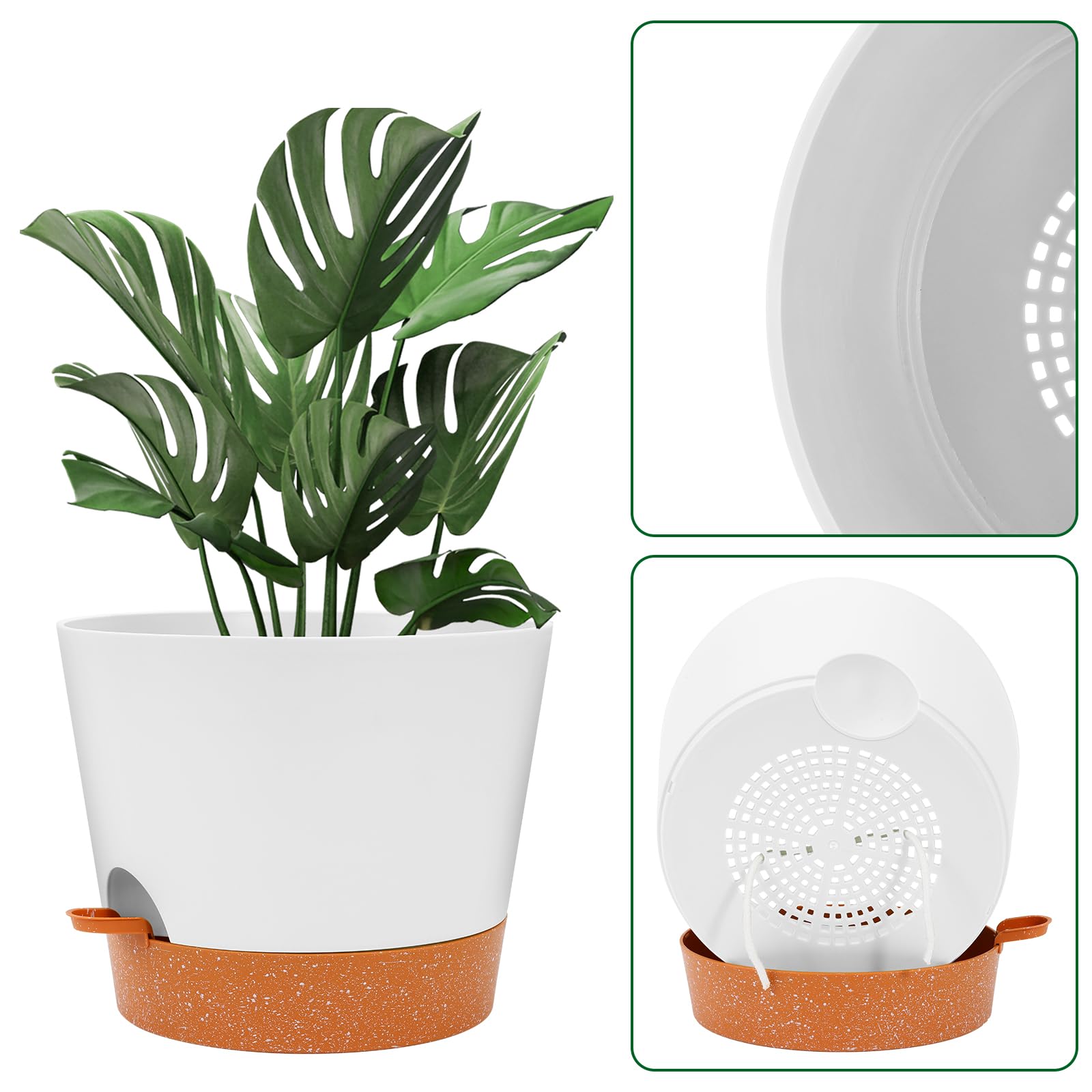 GARDIFE size comparison with hand showing scale for medium houseplants benefit