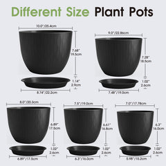 GARDIFE top-down shot showing diameter differences for quick size reference
