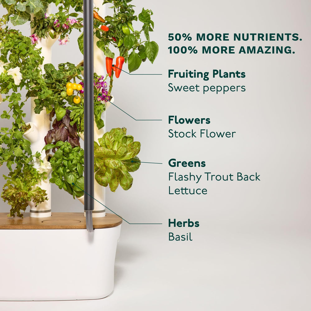 GARDYN in kitchen lifestyle shot showing fresh herbs at hand and convenience benefit