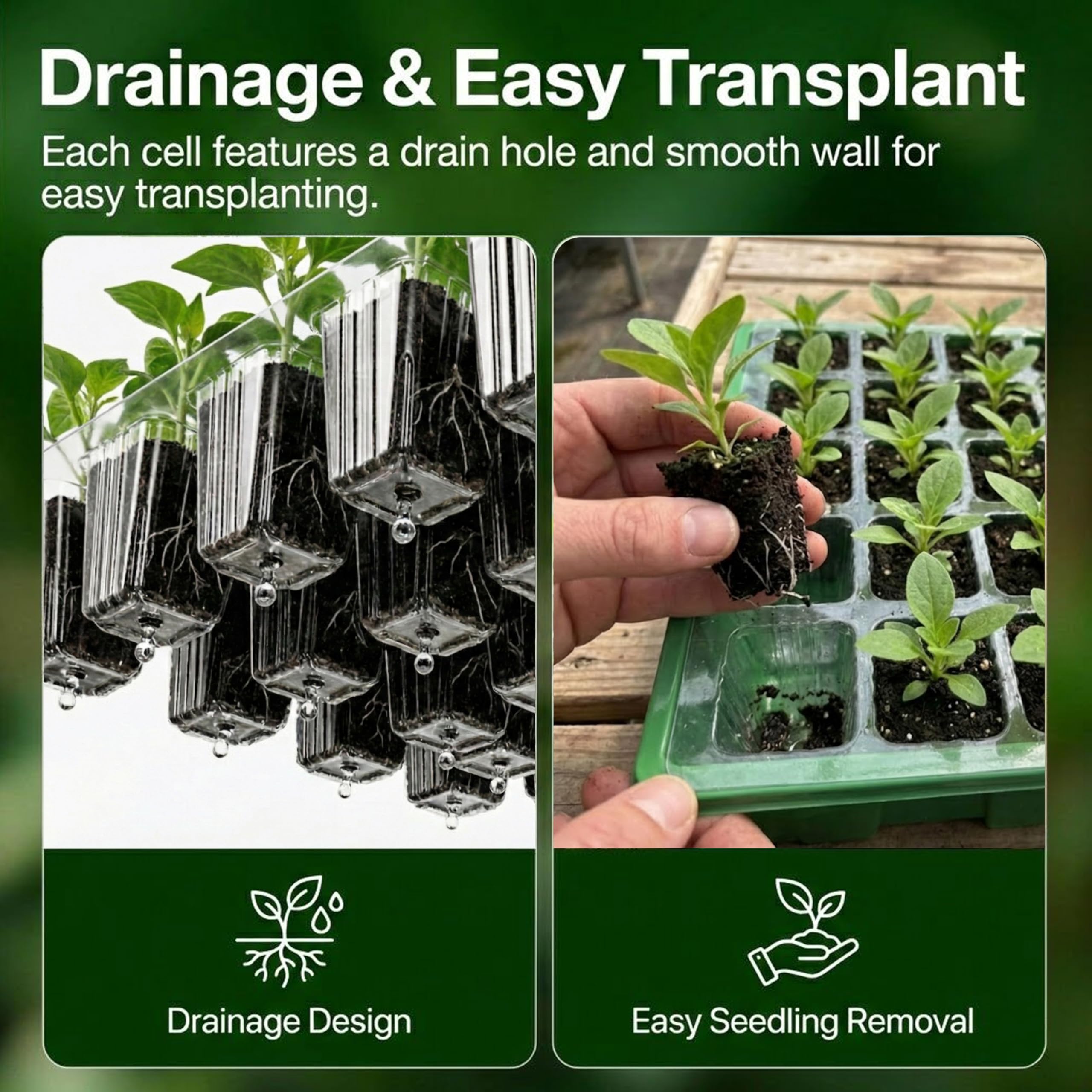 Gardzen bottom-watering base tray collecting runoff to prevent overwatering damage