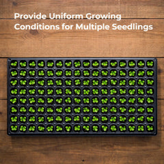 Gardzen close-up of tapered cell design promoting healthy downward root growth