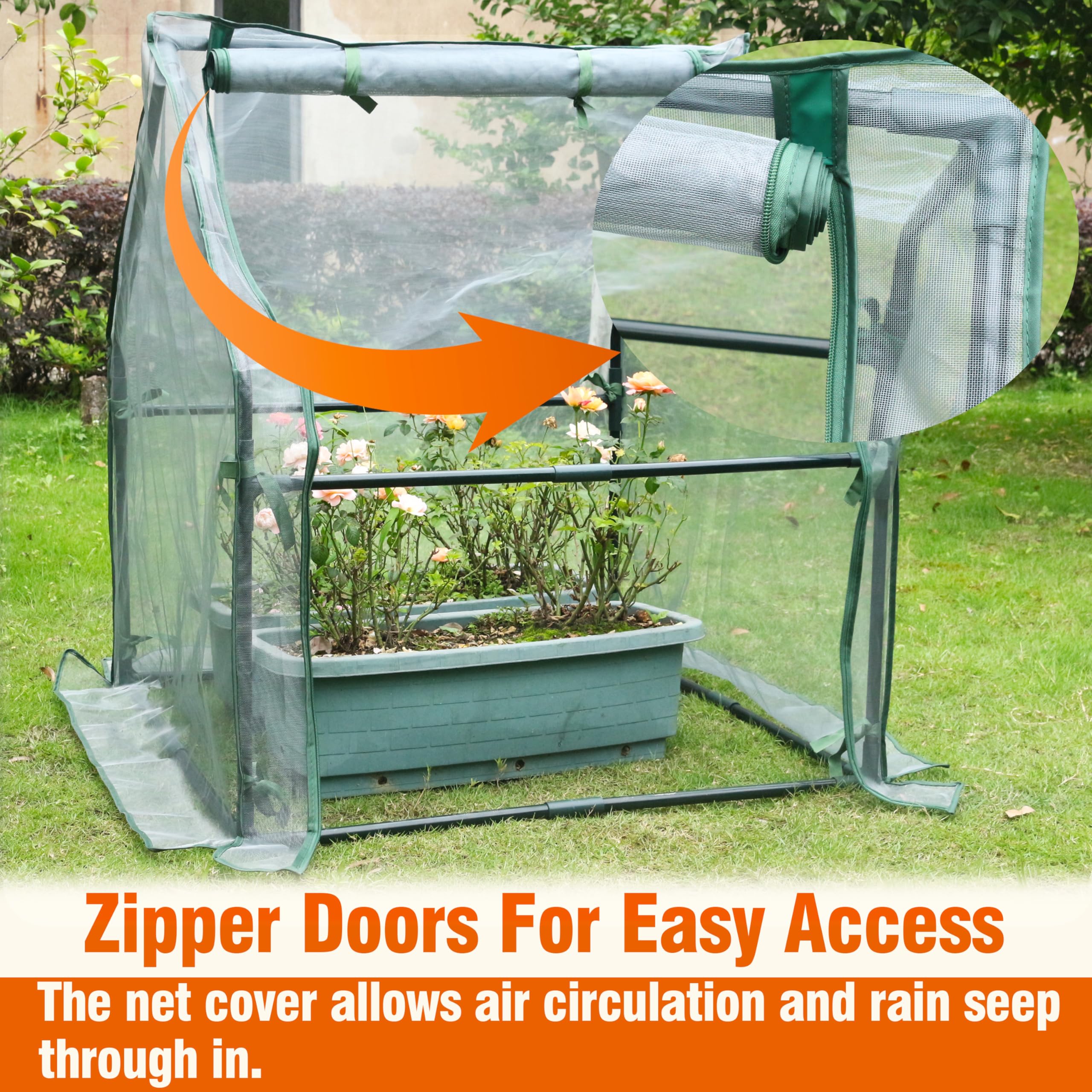 Gardzen interior with seedlings benefiting from filtered light