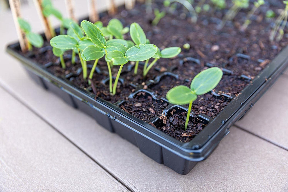 Gardzen product label and printed dimensions on tray edge, clarifies sizing and features