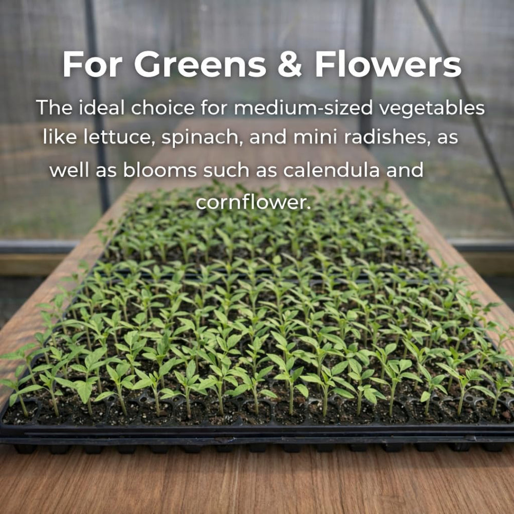 Gardzen trays staged in a greenhouse showcasing efficient large-scale seed starting