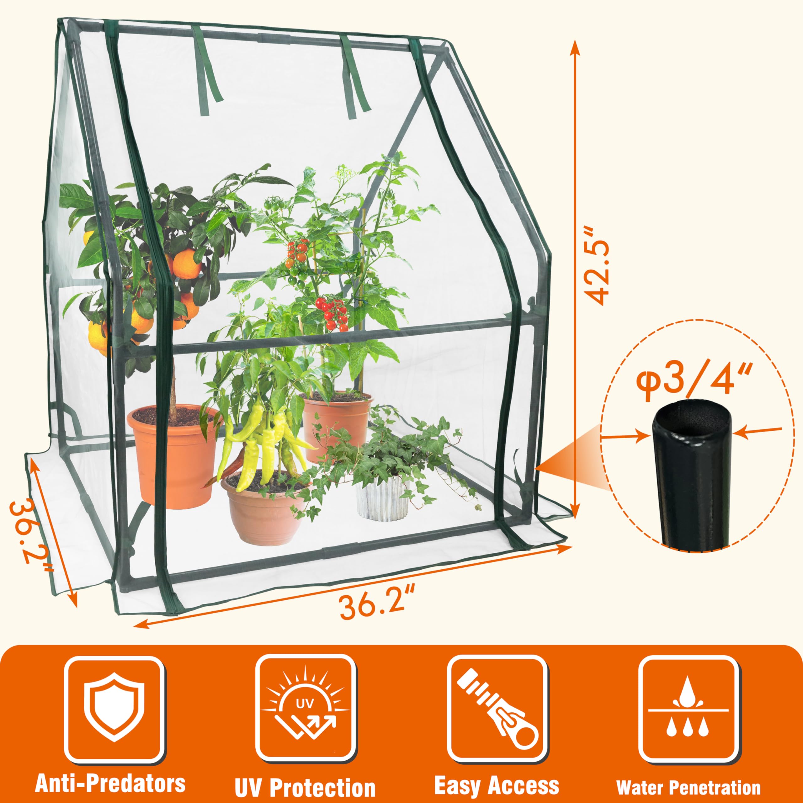 Gardzen on a patio protecting plants while enhancing small-space gardening
