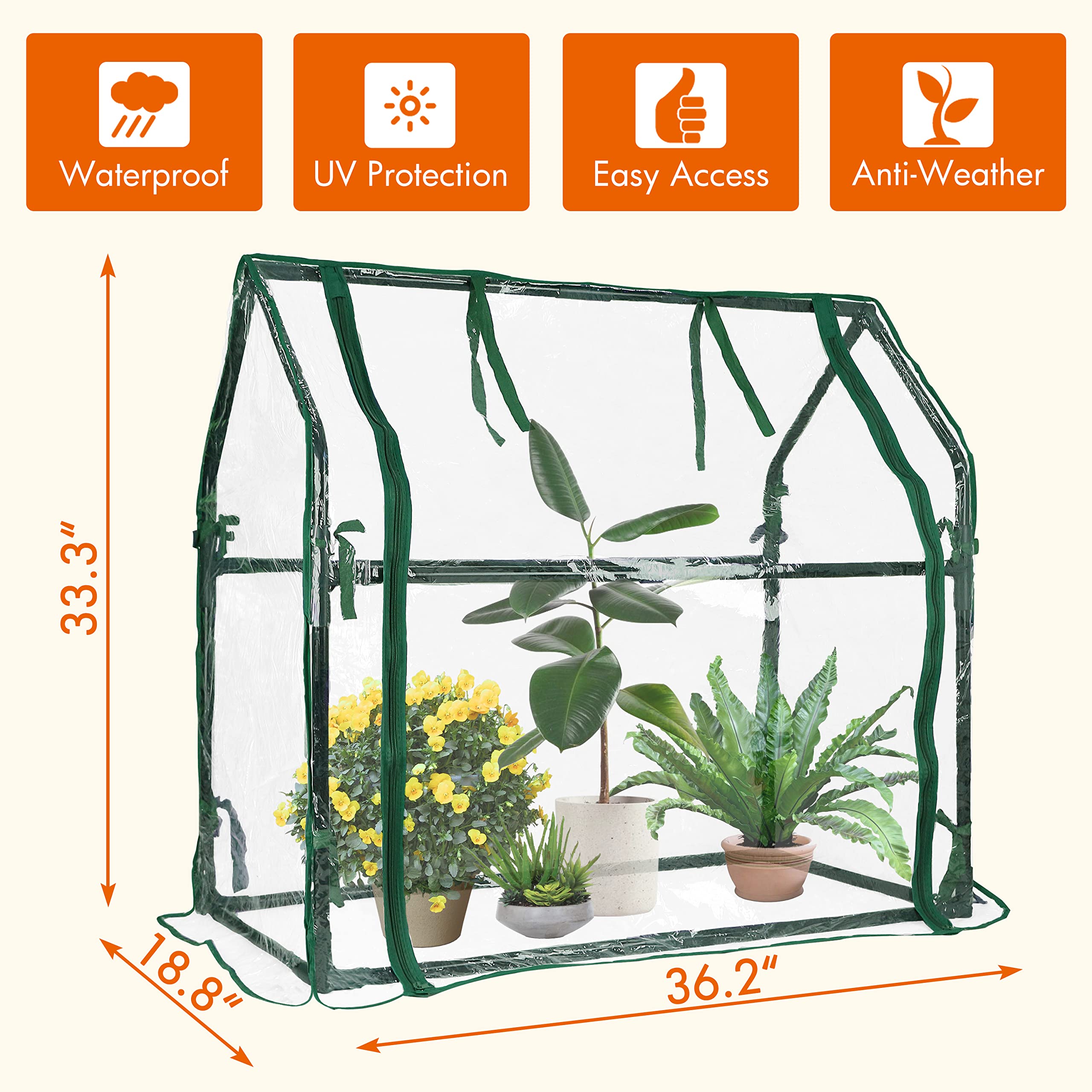 Gardzen assembled greenhouse beside a person for size perspective