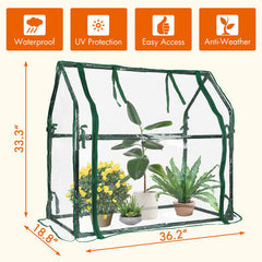 Gardzen assembled greenhouse beside a person for size perspective