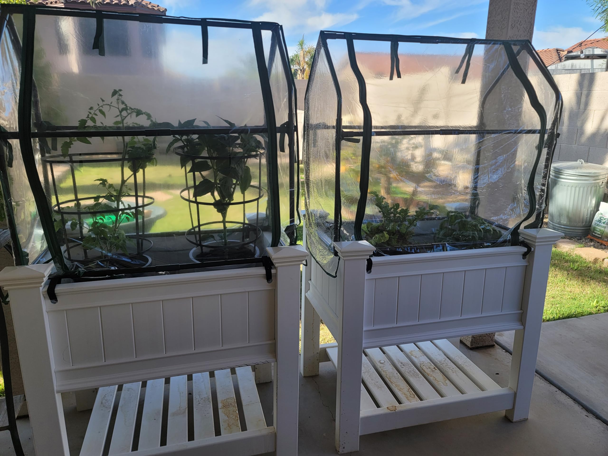 Gardzen greenhouse placed over a raised bed protecting vegetables