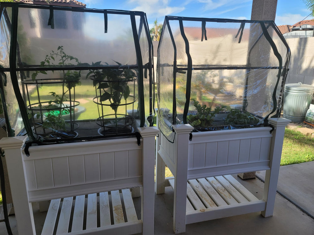 Gardzen greenhouse placed over a raised bed protecting vegetables