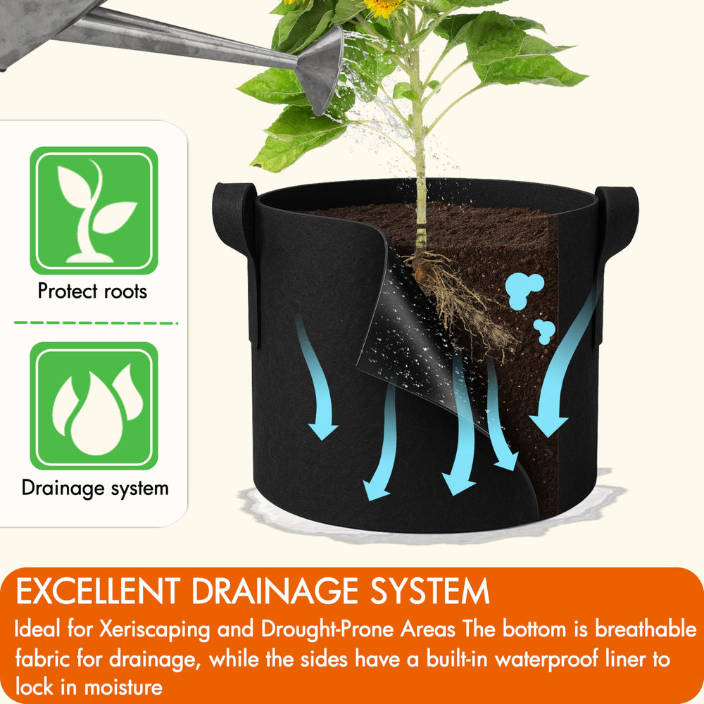 Gardzen on a sunny patio with tomato plant illustrating higher-yield container gardening