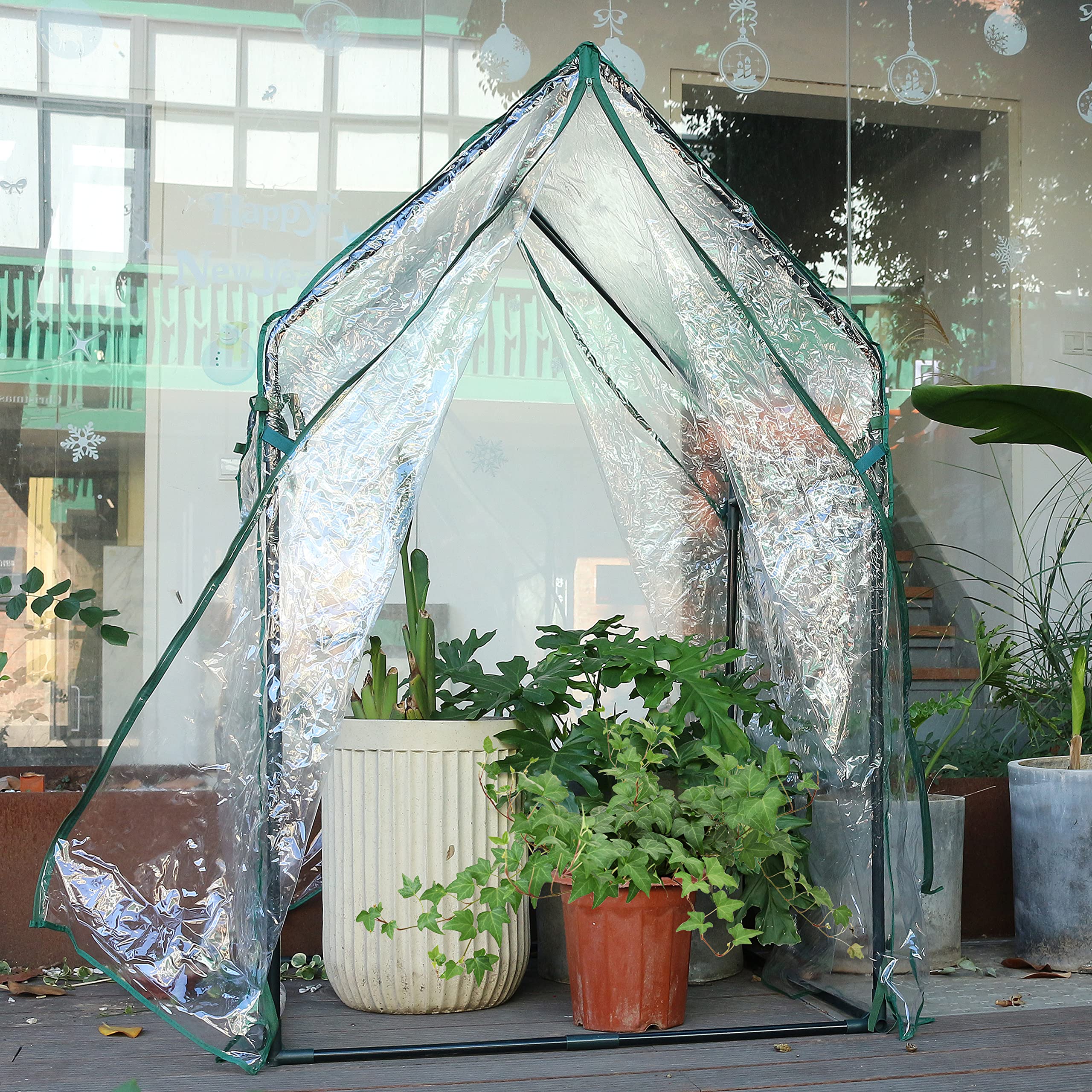 Gardzen beside pot and ruler for scale showing compact footprint and tall height