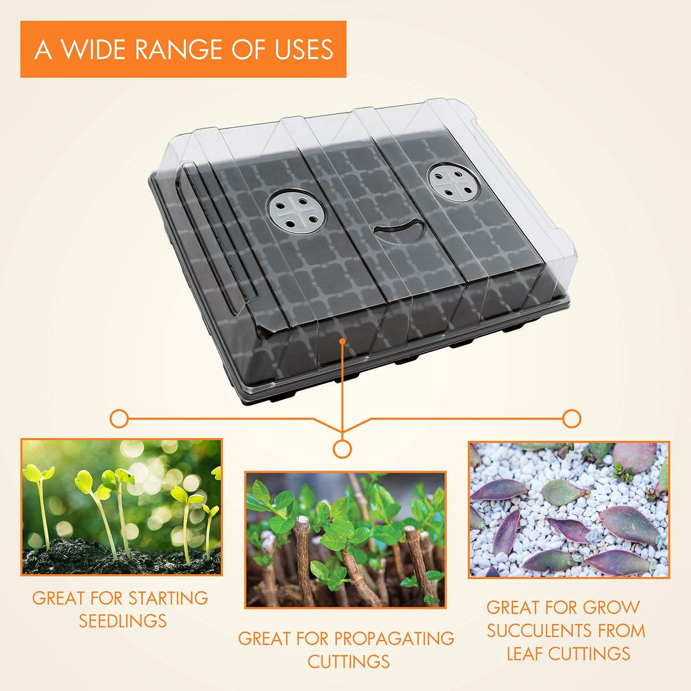 Gardzen seedlings sprouting in neat rows inside starter cells, helps uniform transplanting