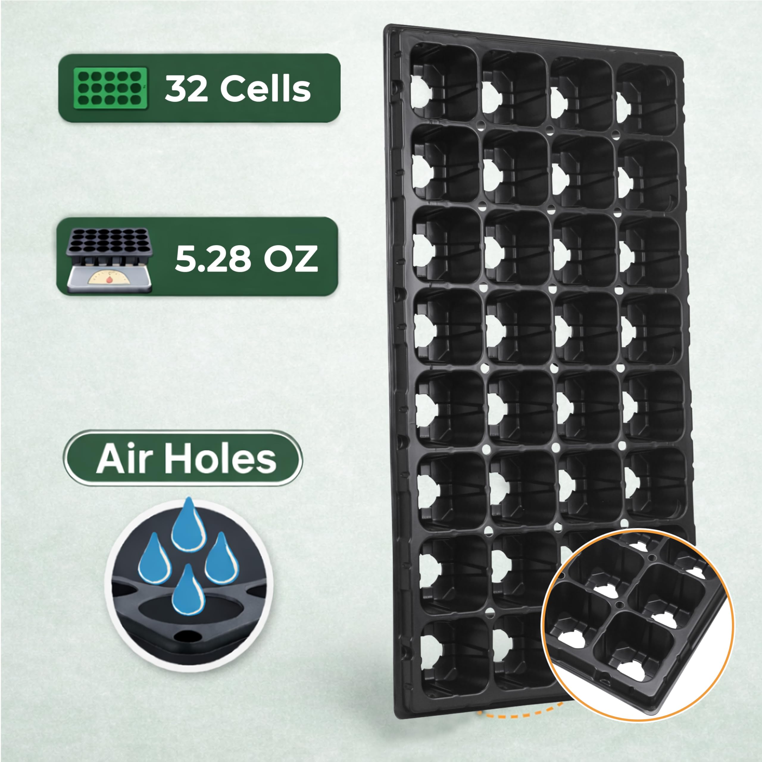 Gardzen tray with healthy seedlings demonstrating sturdy transplant-ready roots