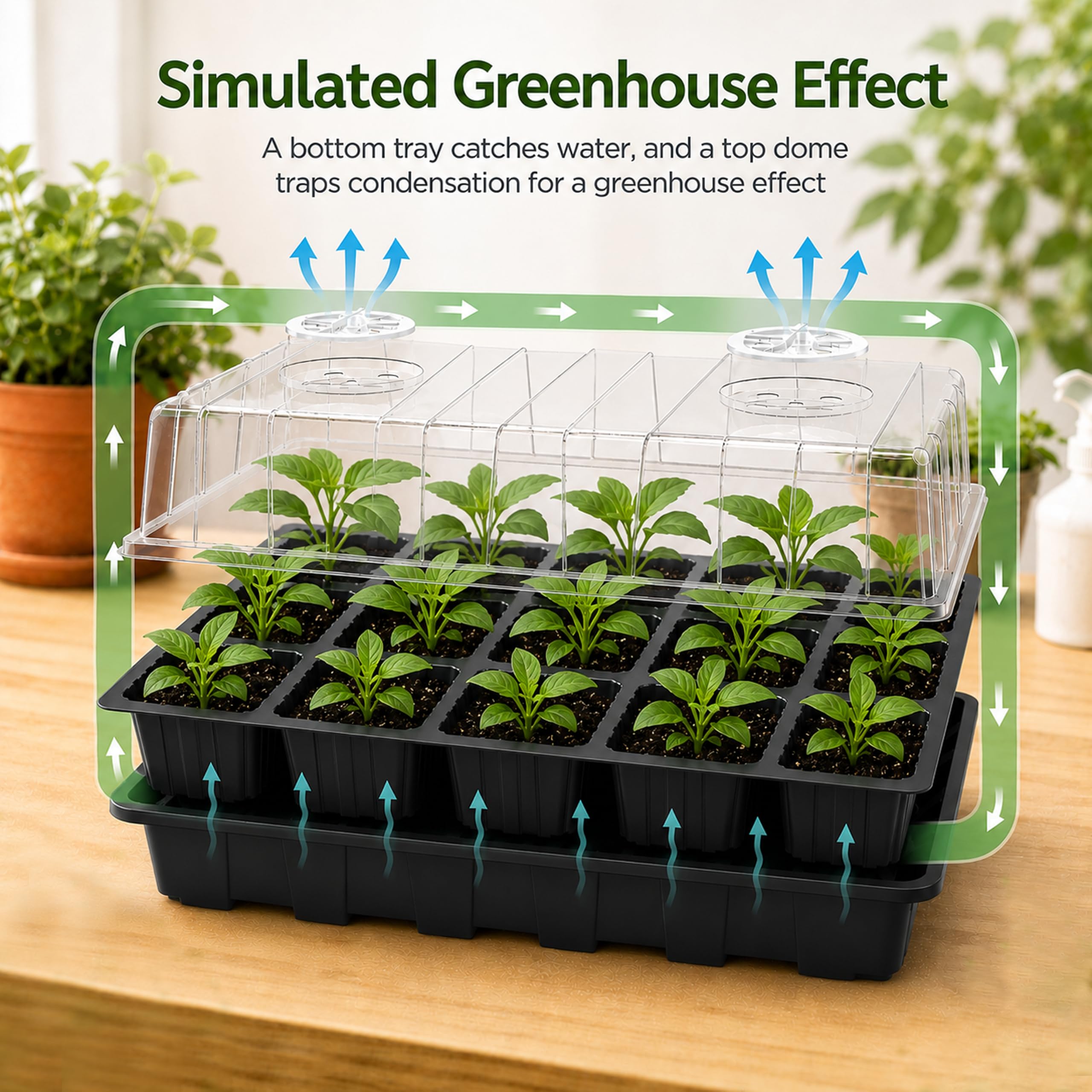 Gardzen tray beside ruler showing scale for planning and space efficiency